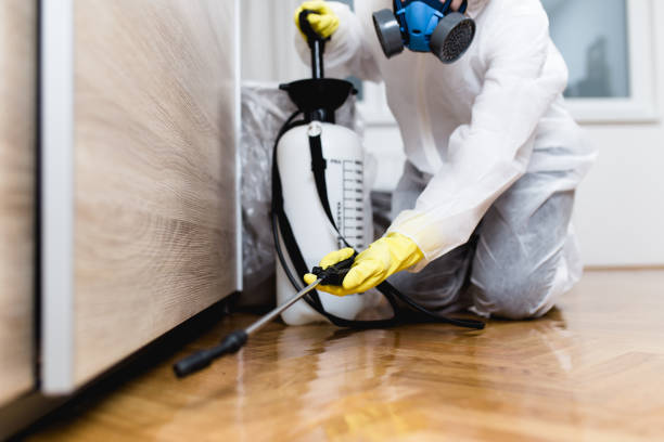 Best Affordable Pest Control Services  in Swifton, AR