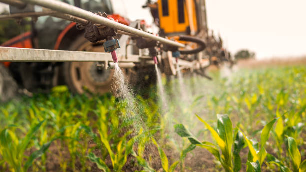 Best Pest Inspection Near Me  in Swifton, AR